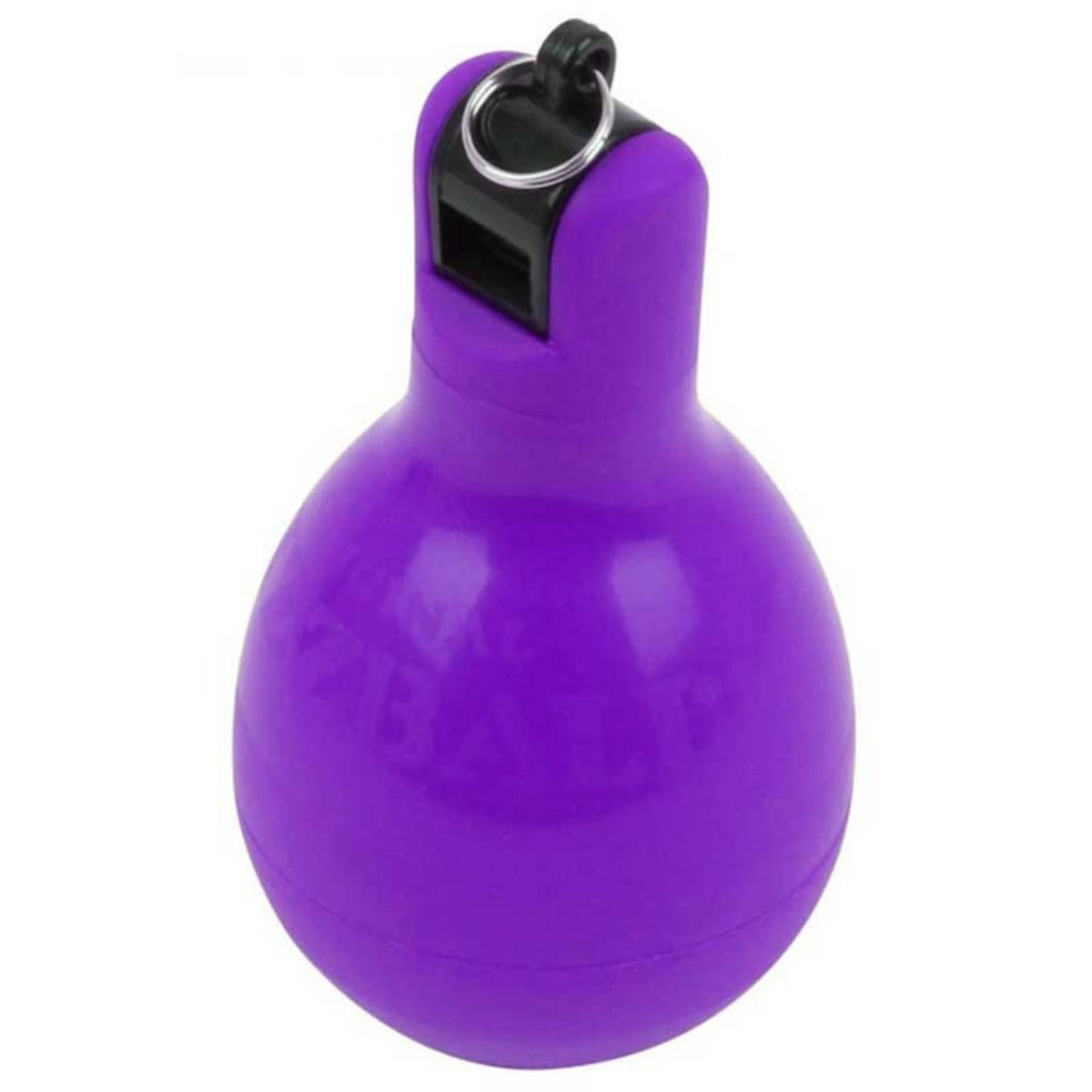 Wizzball handfluit