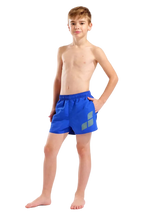 Arena Boy's  Beach Short Logo R