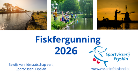 Visvergunning