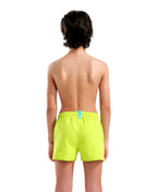 Arena Boys' Logo Beach Short R Artic Lime-Sage