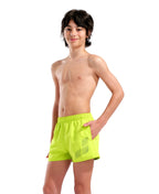 Arena Boys' Logo Beach Short R Artic Lime-Sage