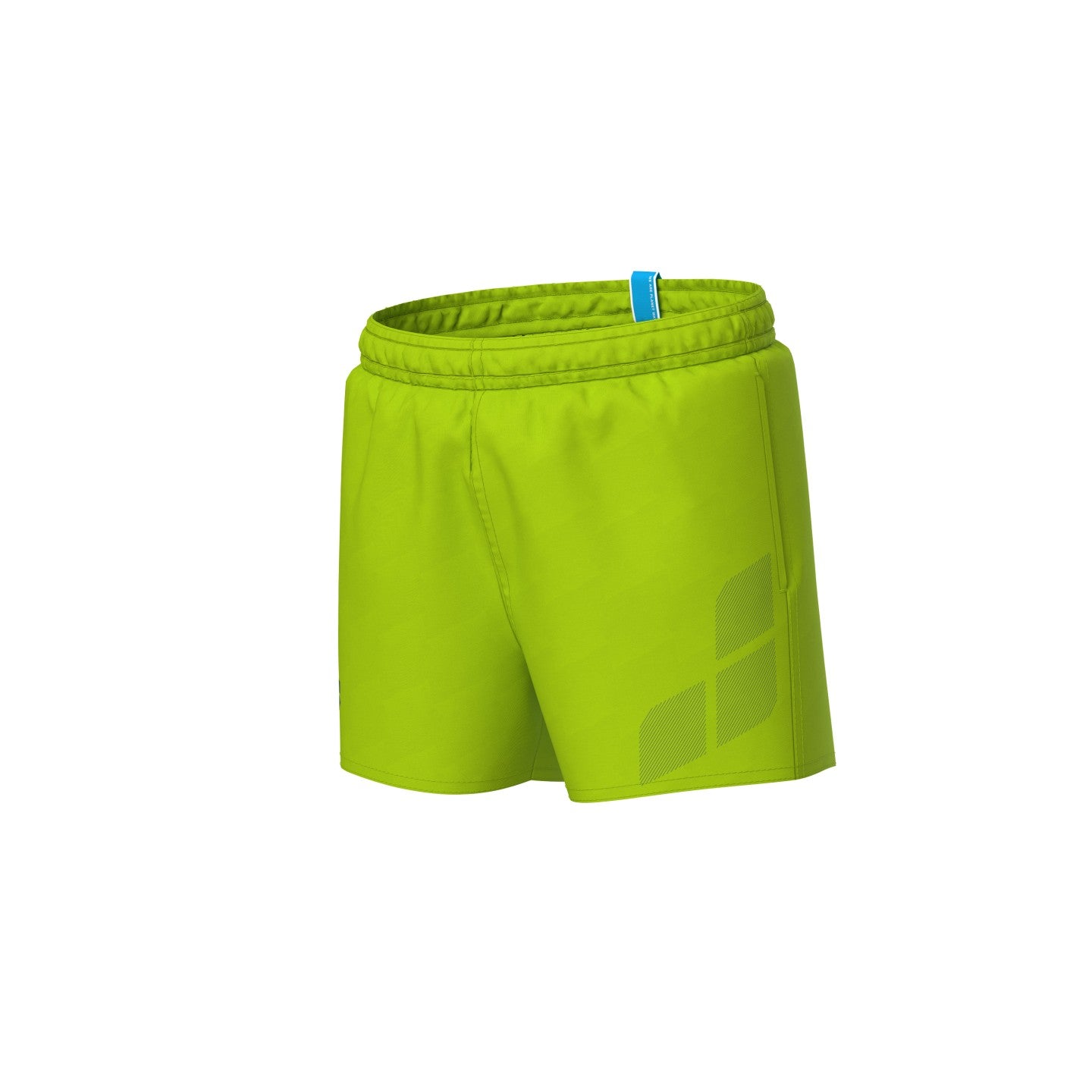 Arena Boys' Logo Beach Short R Artic Lime-Sage